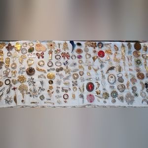 Massive Brooch Collection over 200